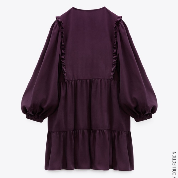 Zara Pleated Dress - Picture 8 of 10